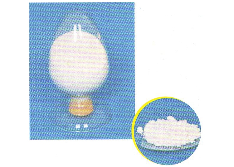 中量元素水溶肥顆粒廠家